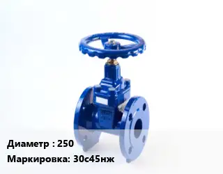 Задвижка стальная 250 30с45нж